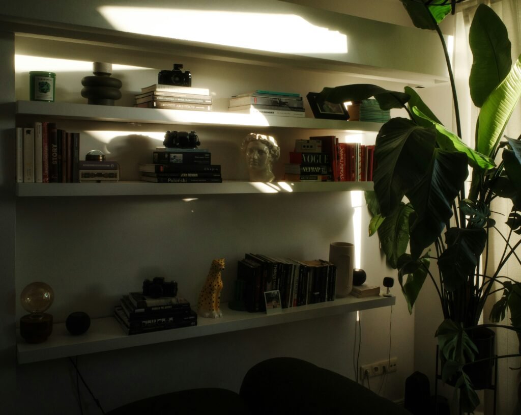 cozy living room lighting ideas with warm ambient, task, and accent lighting